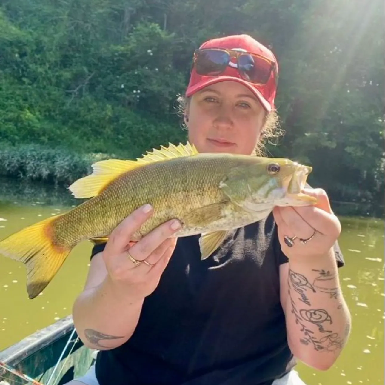The most recent Smallmouth bass catches on Fishbrain
