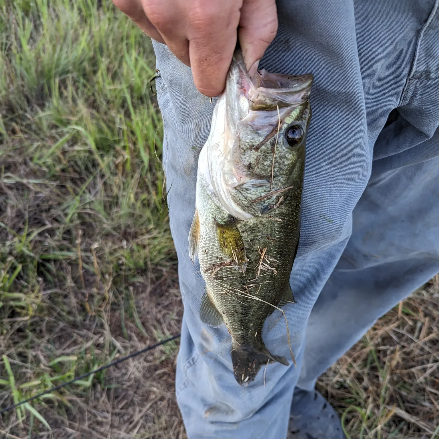 angler catch