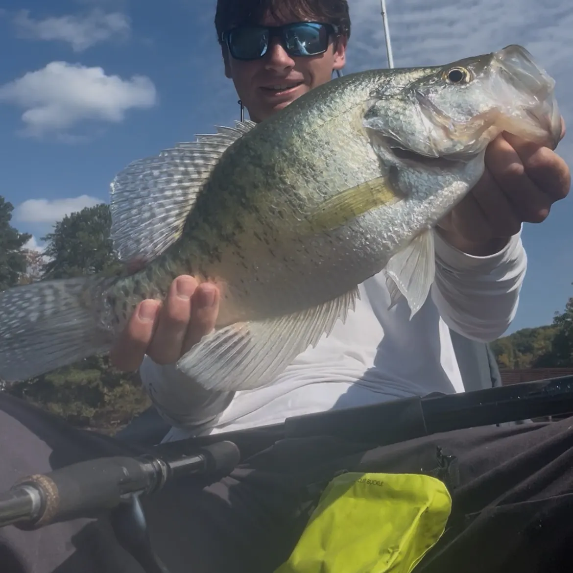White crappie caught on Fishbrain