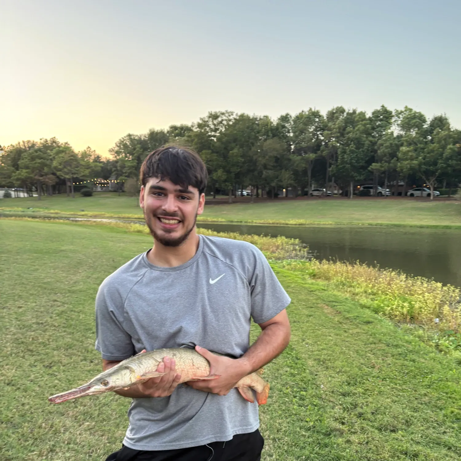 Shortnose gar caught on Fishbrain