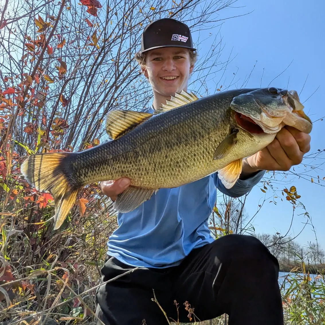 Largemouth bass caught on Fishbrain