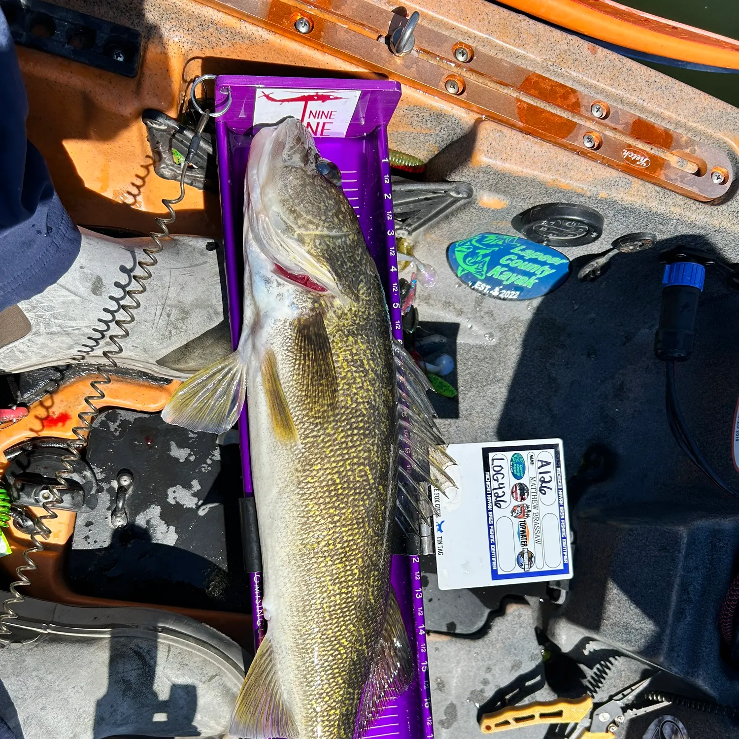 recently logged catches