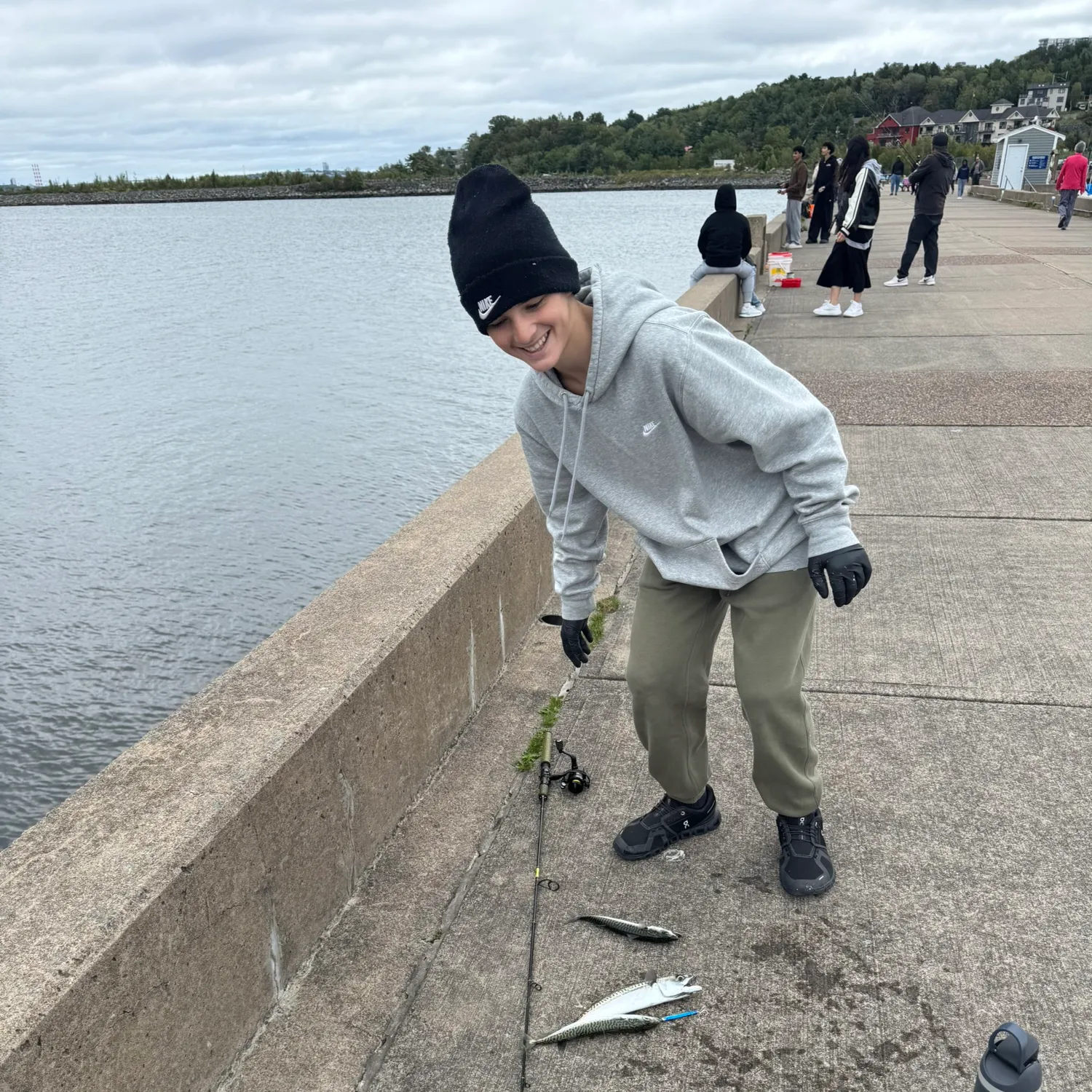 Atlantic mackerel caught on Fishbrain