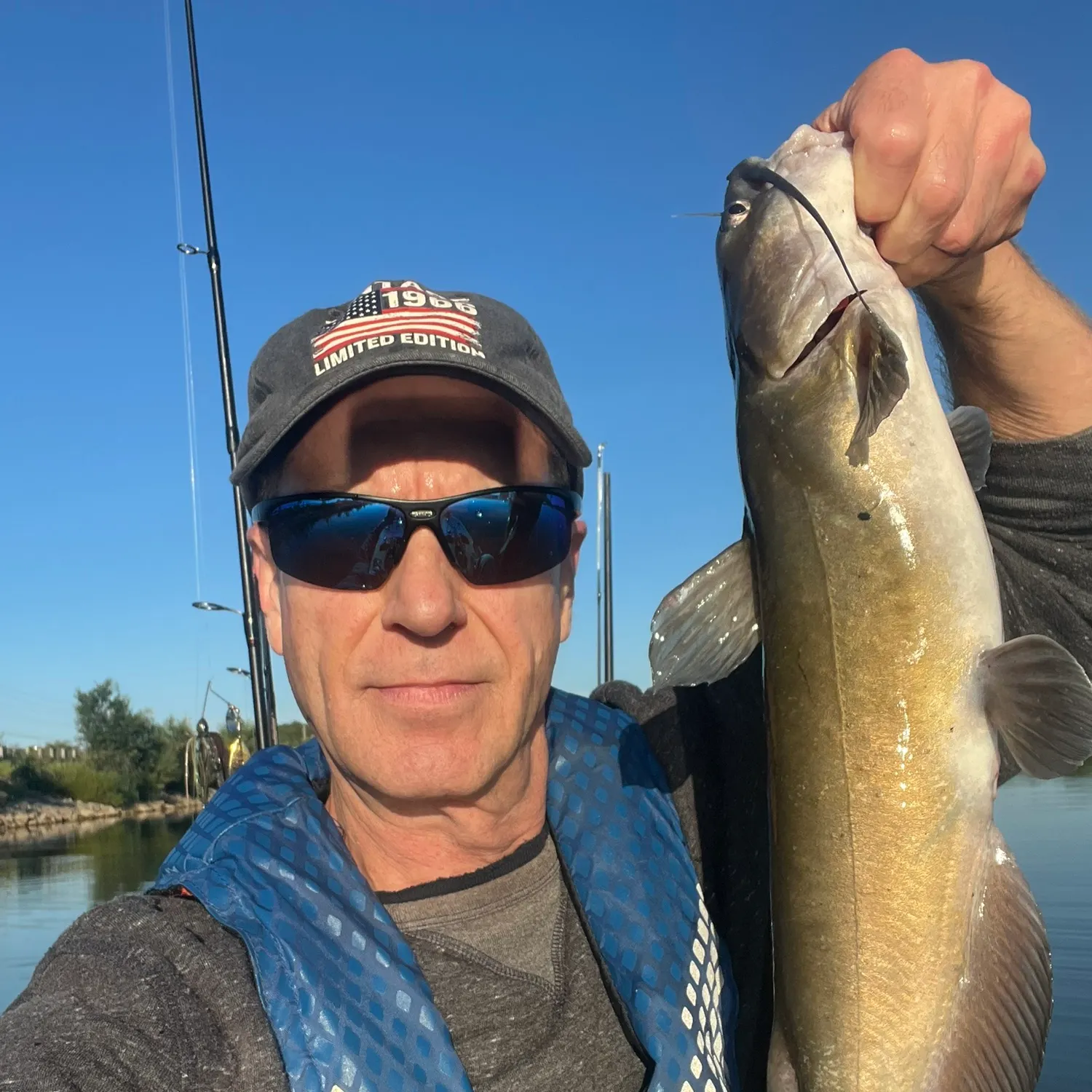 Channel catfish caught on Fishbrain