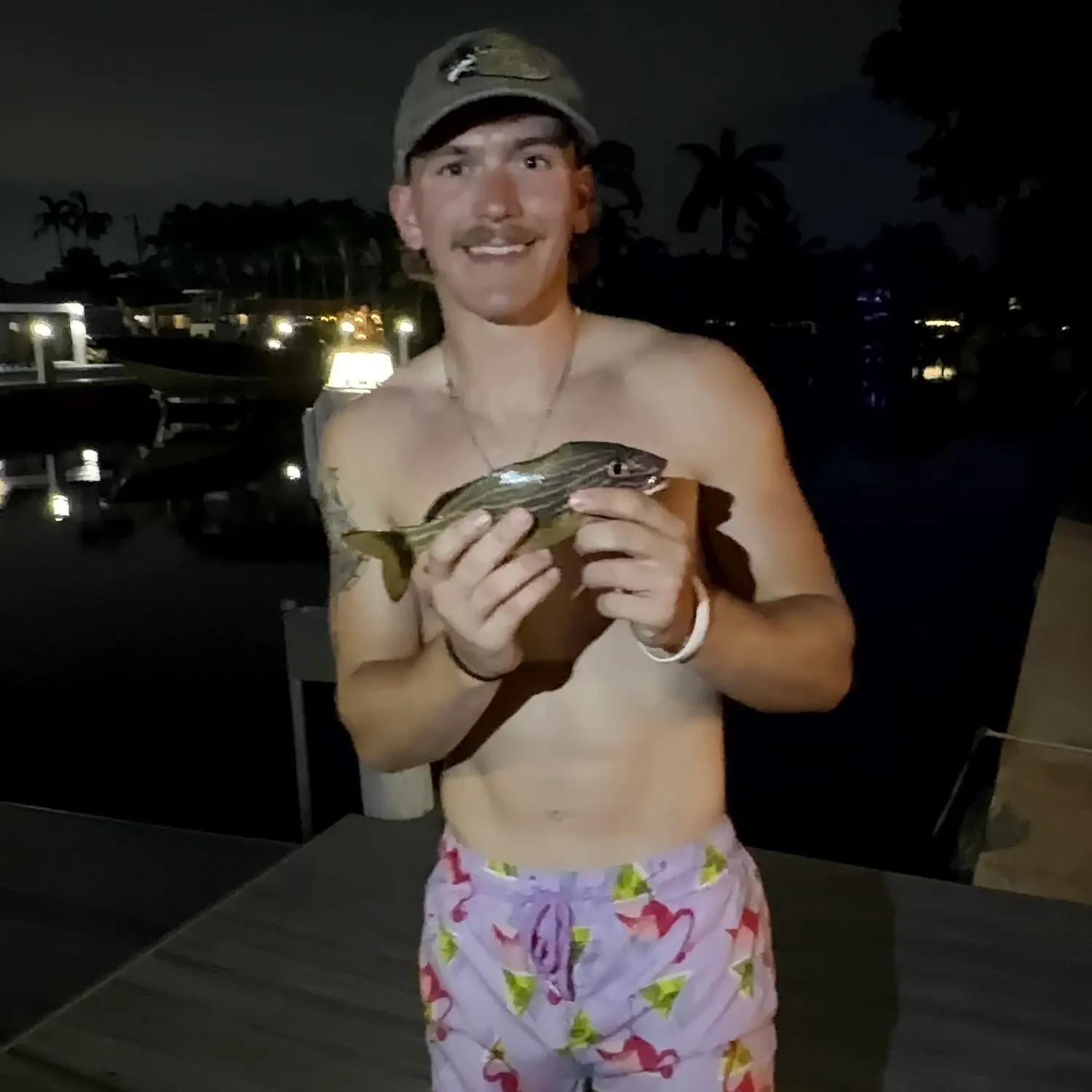 Bluestriped grunt caught on Fishbrain