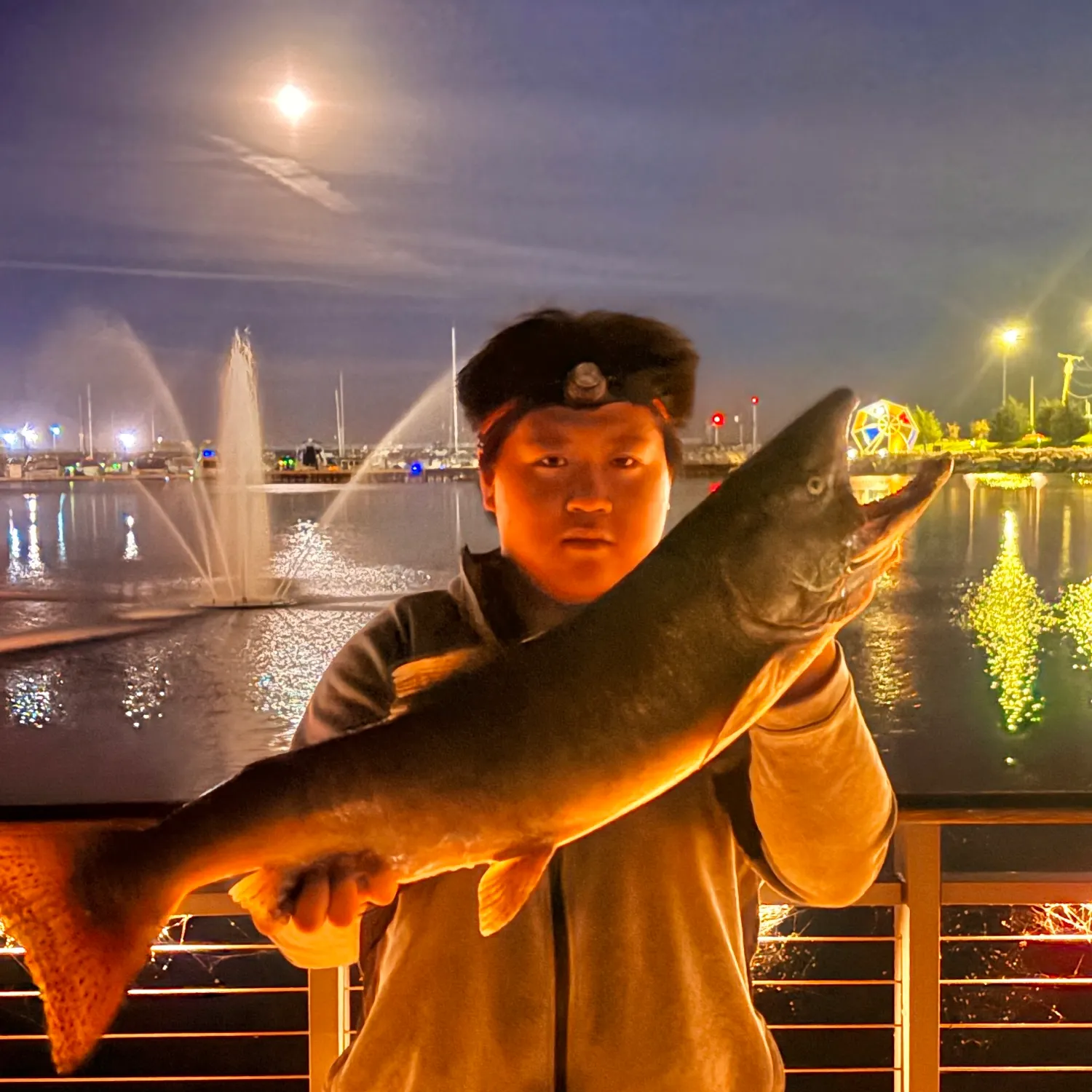 Chinook salmon caught on Fishbrain