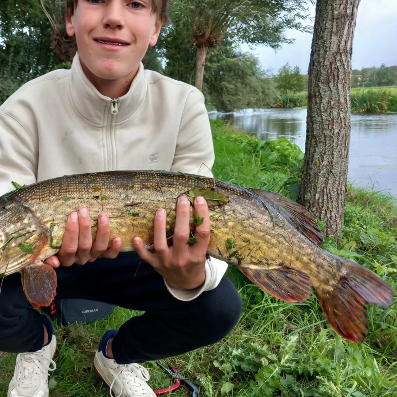 Northern pike caught on Fishbrain