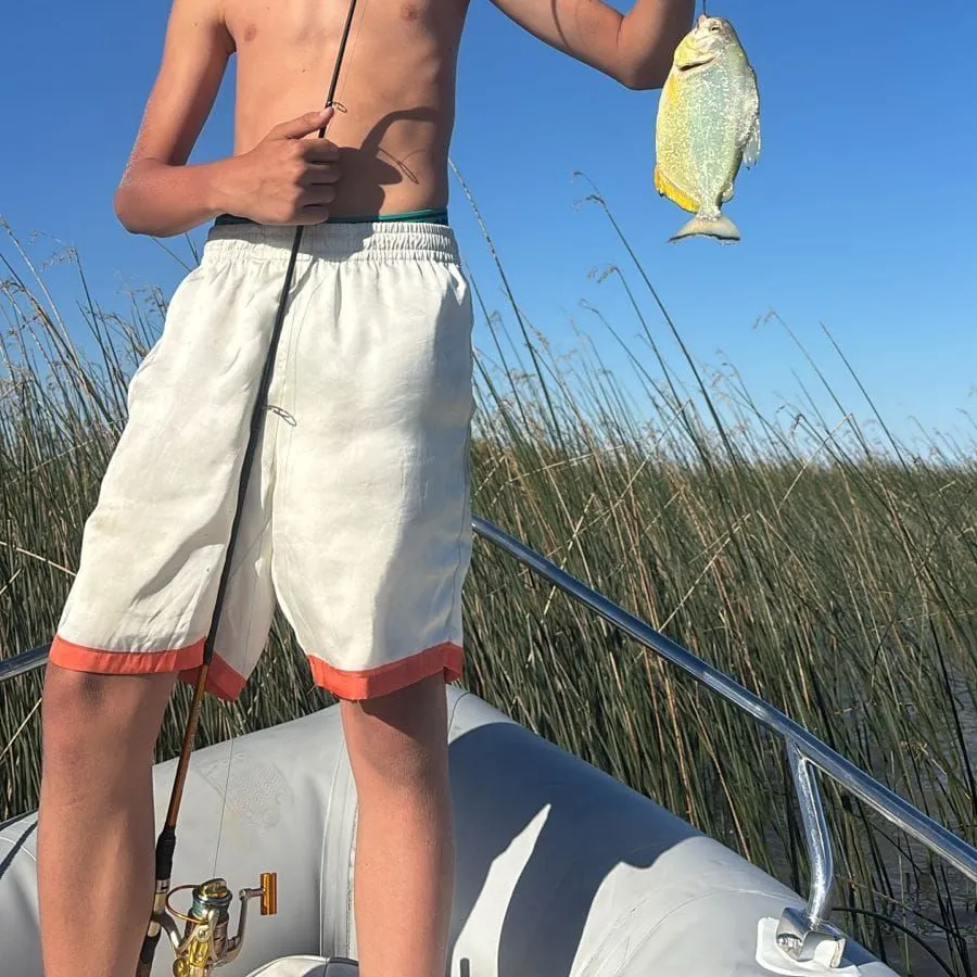 The most recent Parona leatherjacket catches on Fishbrain