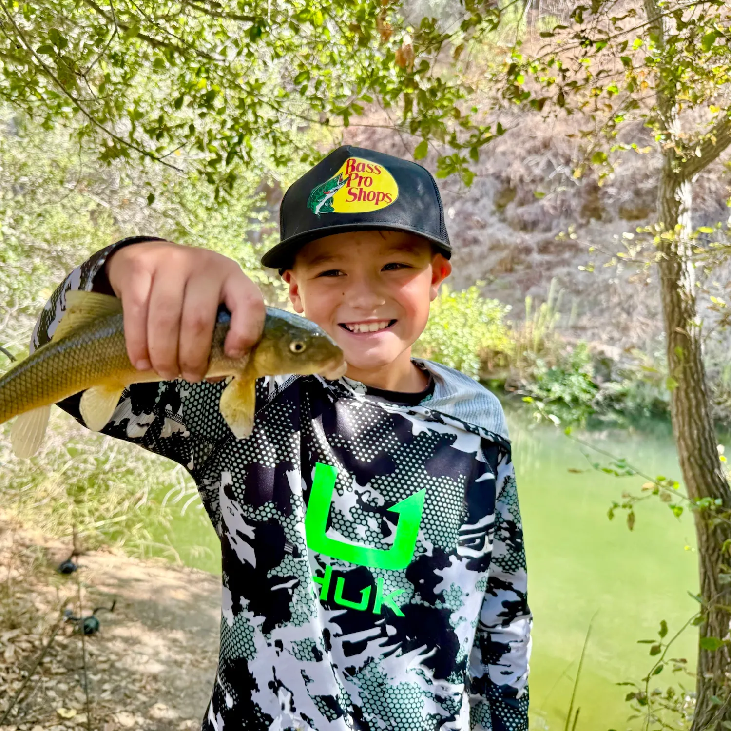 Sacramento sucker caught on Fishbrain