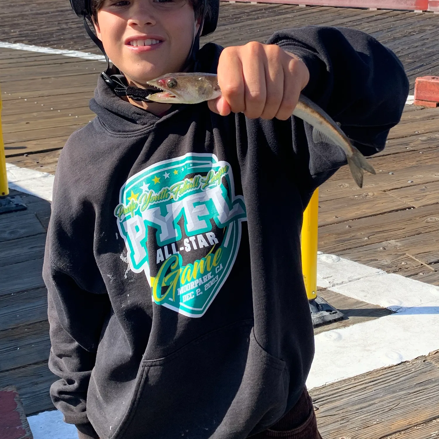 The most recent Pacific barracuda catches on Fishbrain