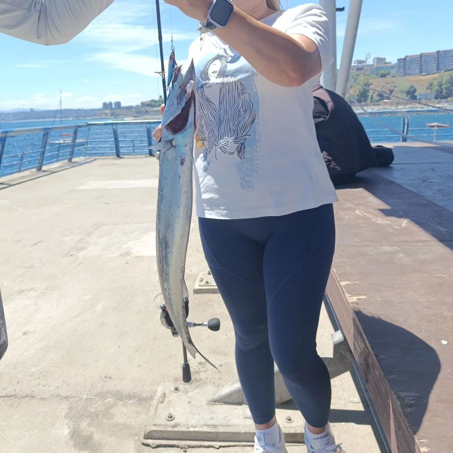 The most recent Snoek catches on Fishbrain
