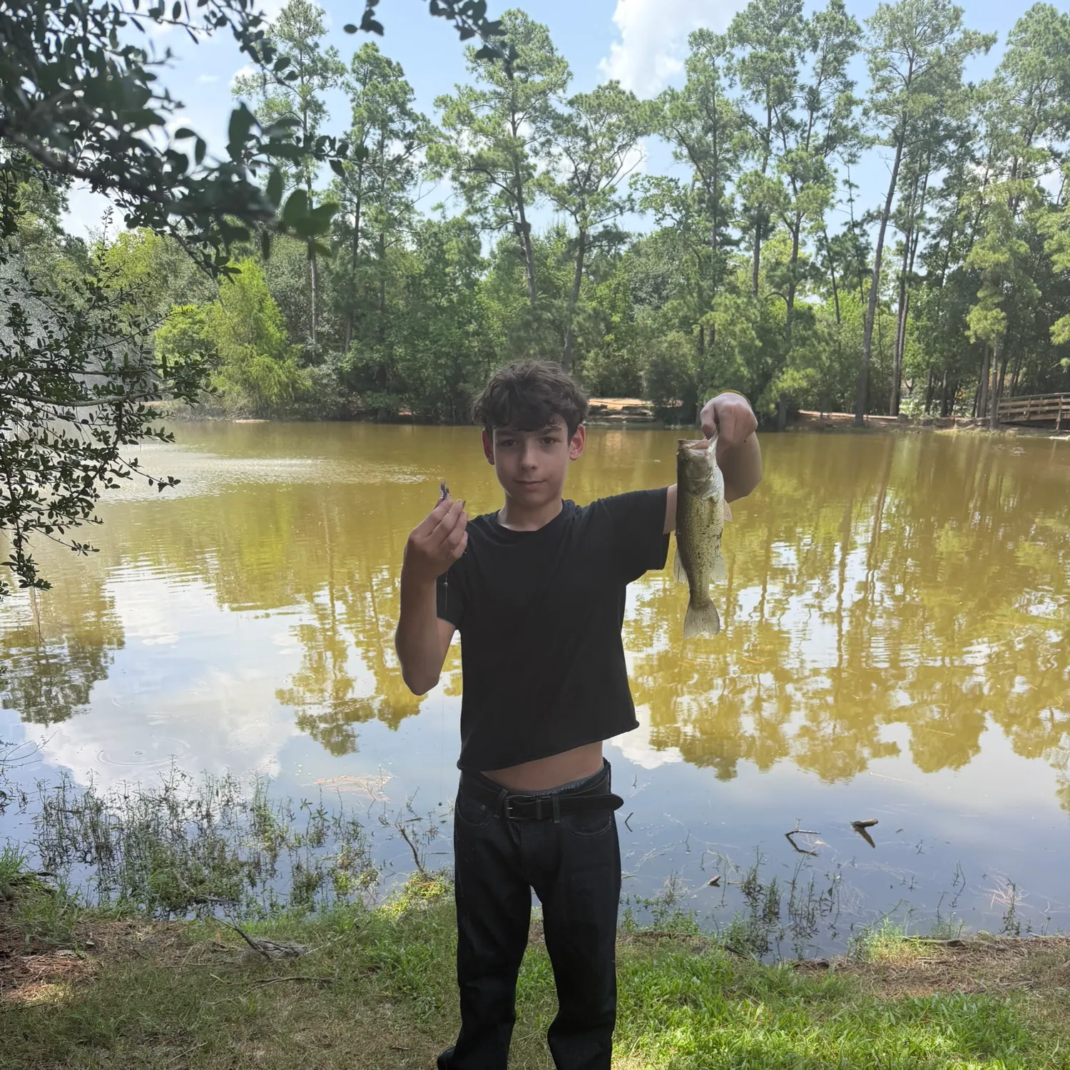 Largemouth bass caught on Fishbrain