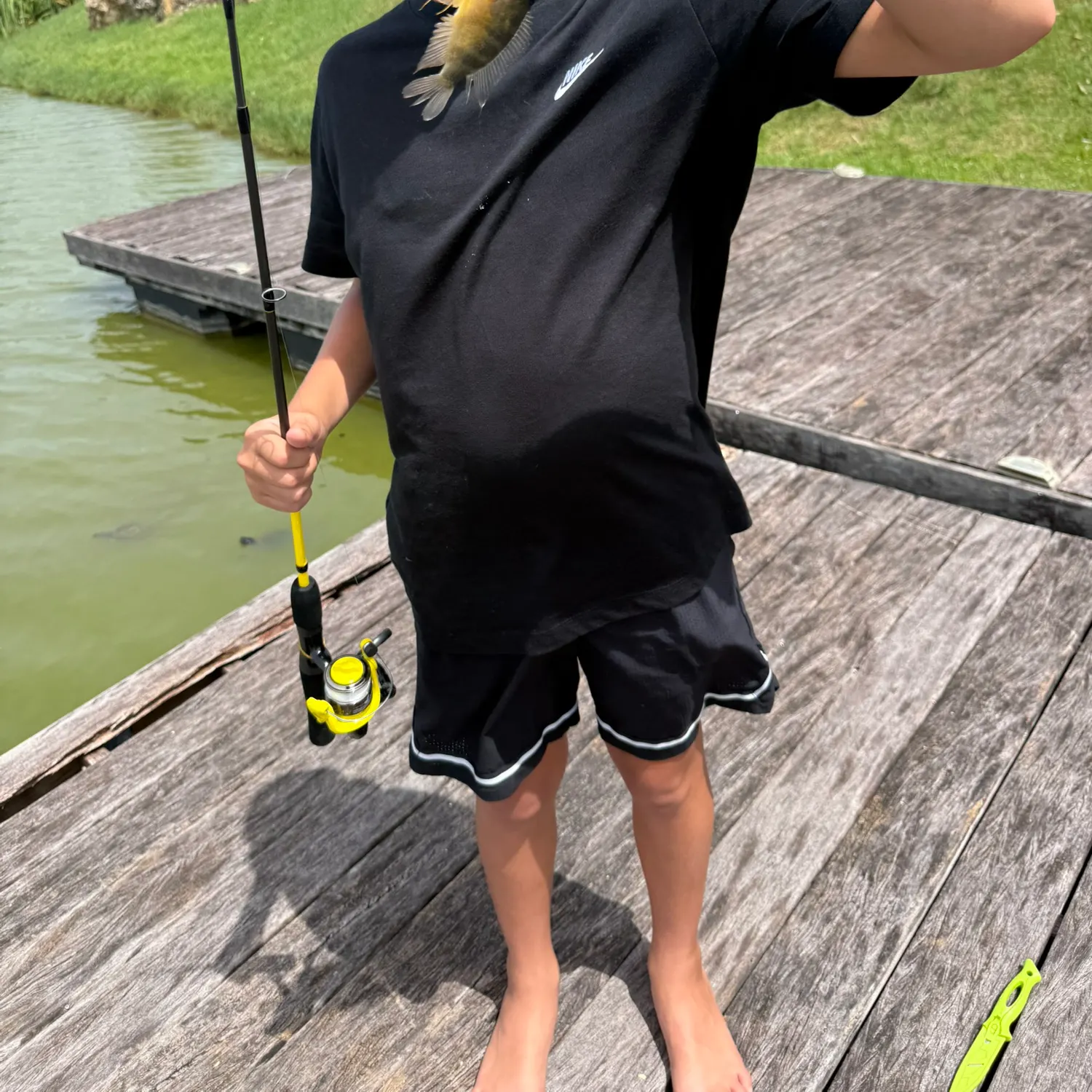The most recent Speckled peacock bass catches on Fishbrain