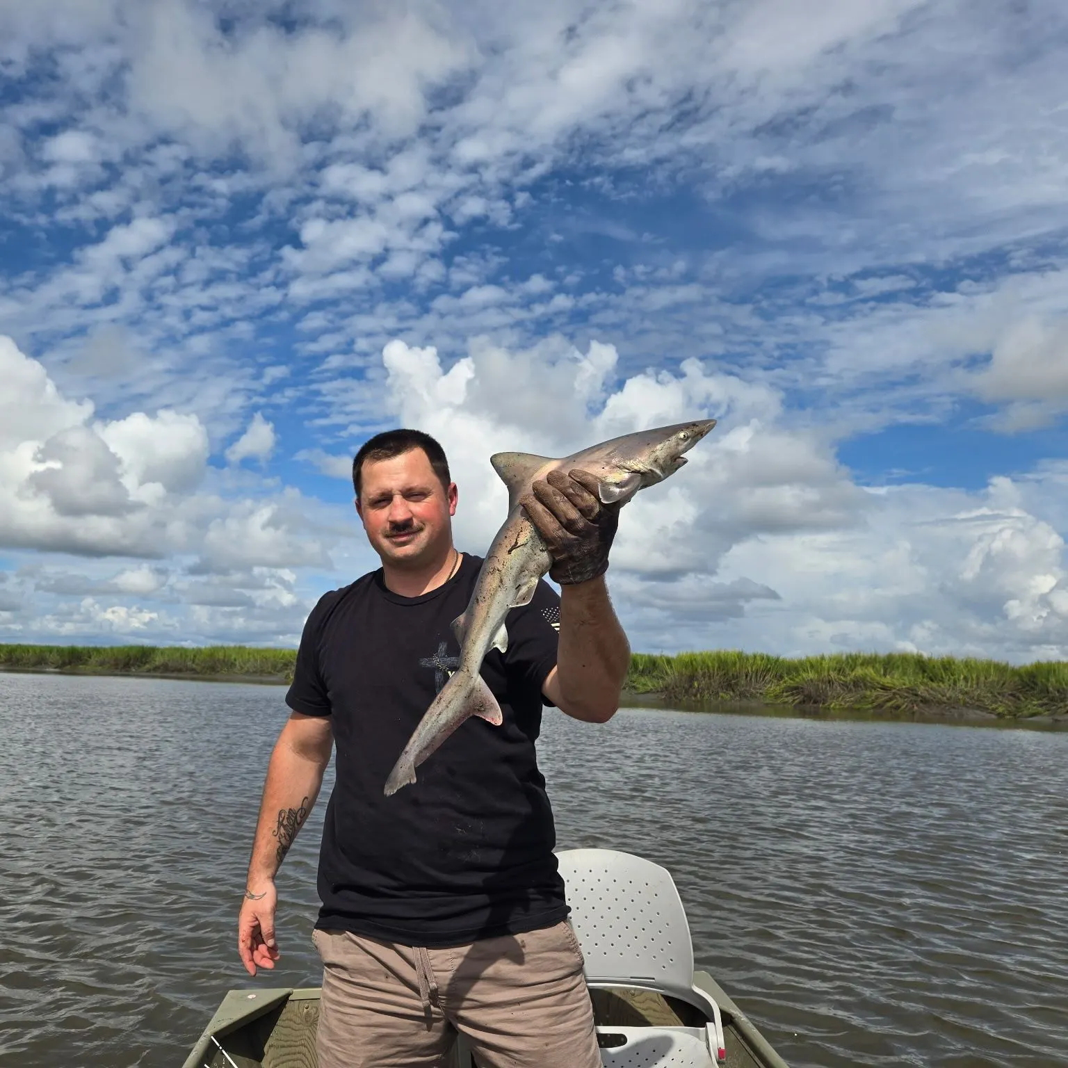 Dusky smooth-hound caught on Fishbrain