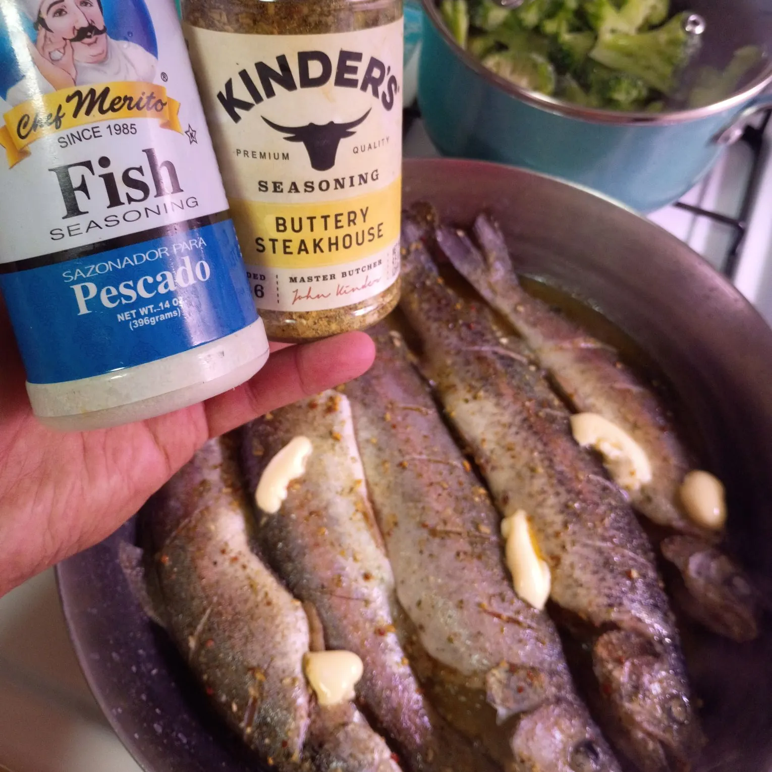 Rainbow trout caught on Fishbrain