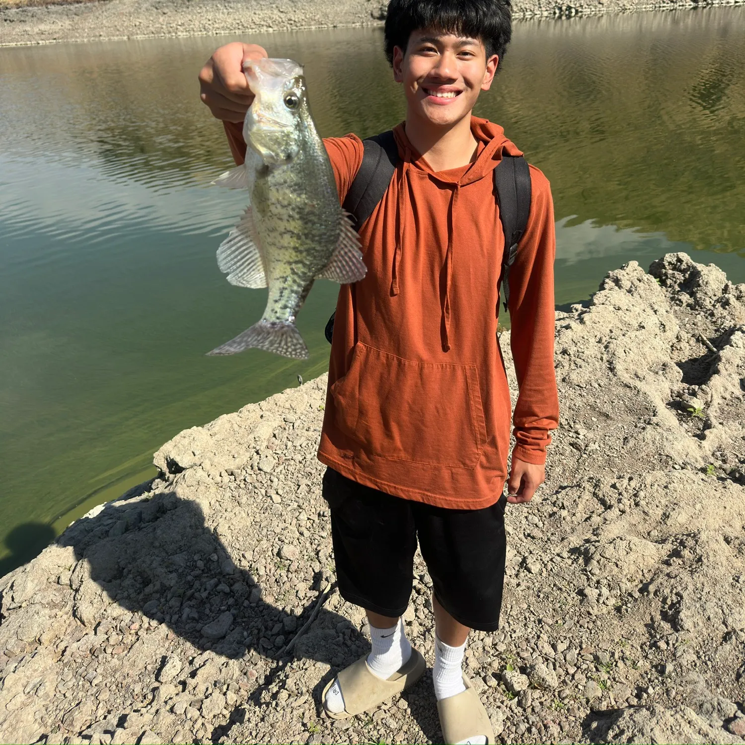 White crappie caught on Fishbrain