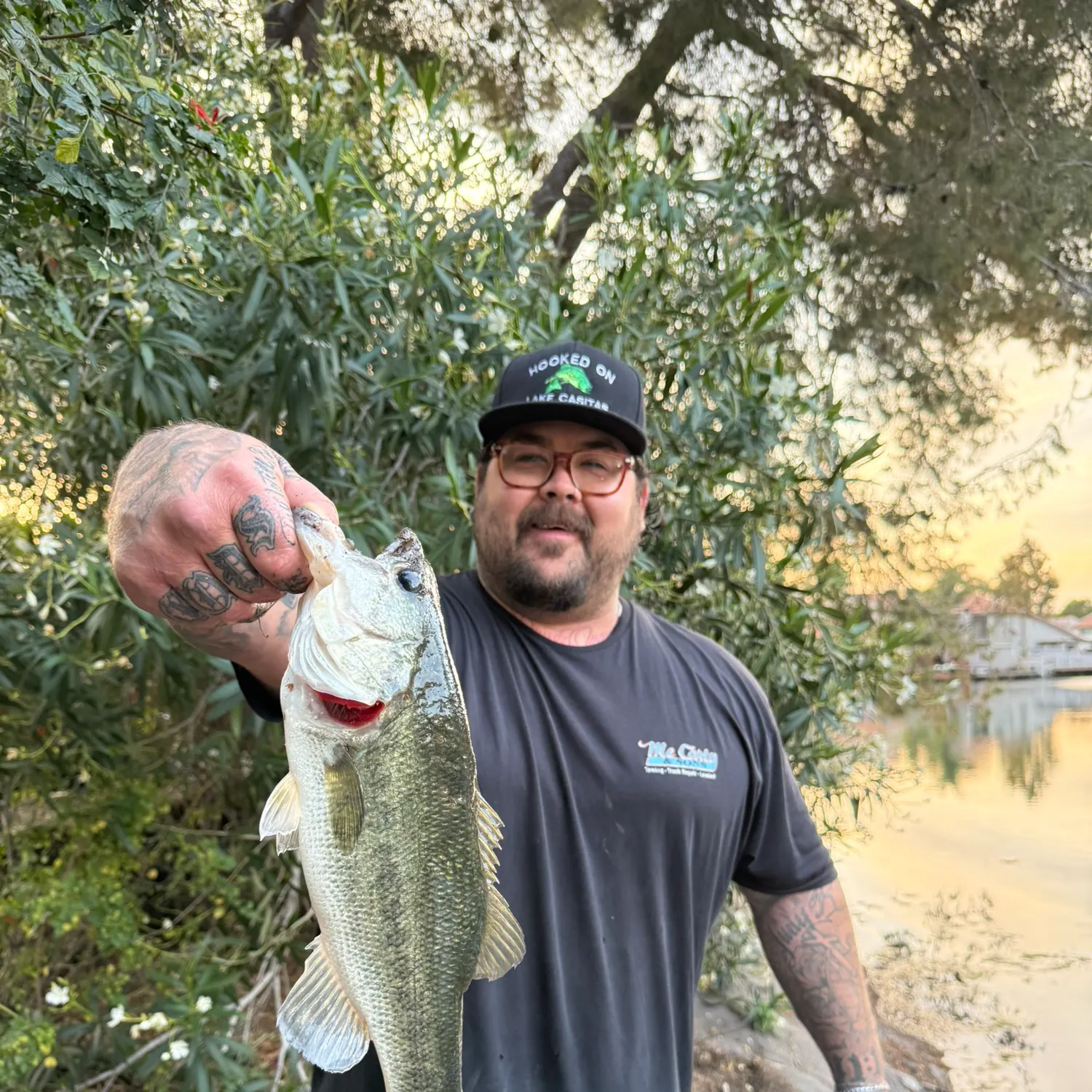 recently logged catches