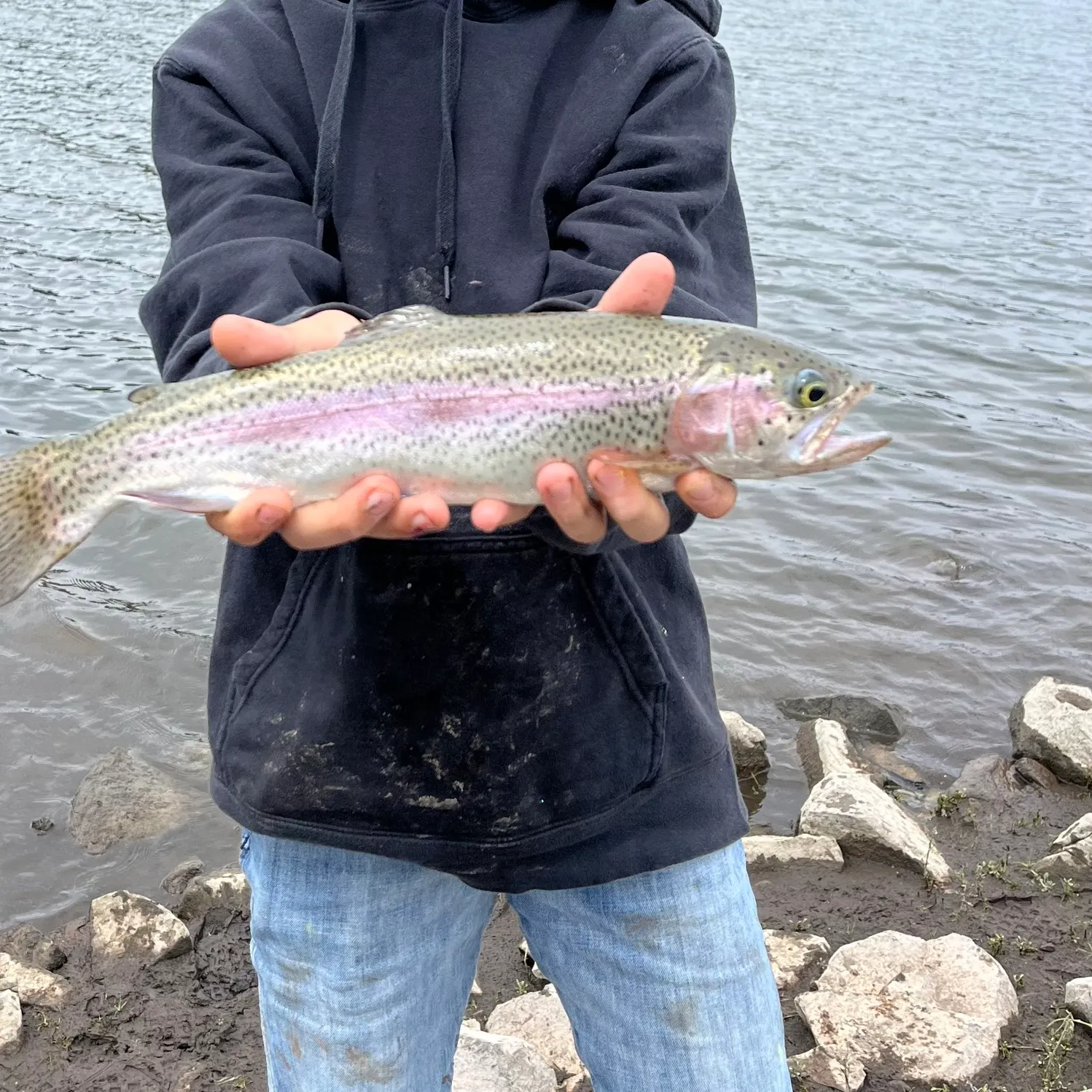 Rainbow trout caught on Fishbrain