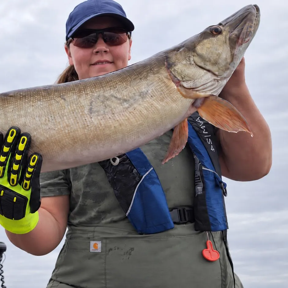 Muskie caught on Fishbrain
