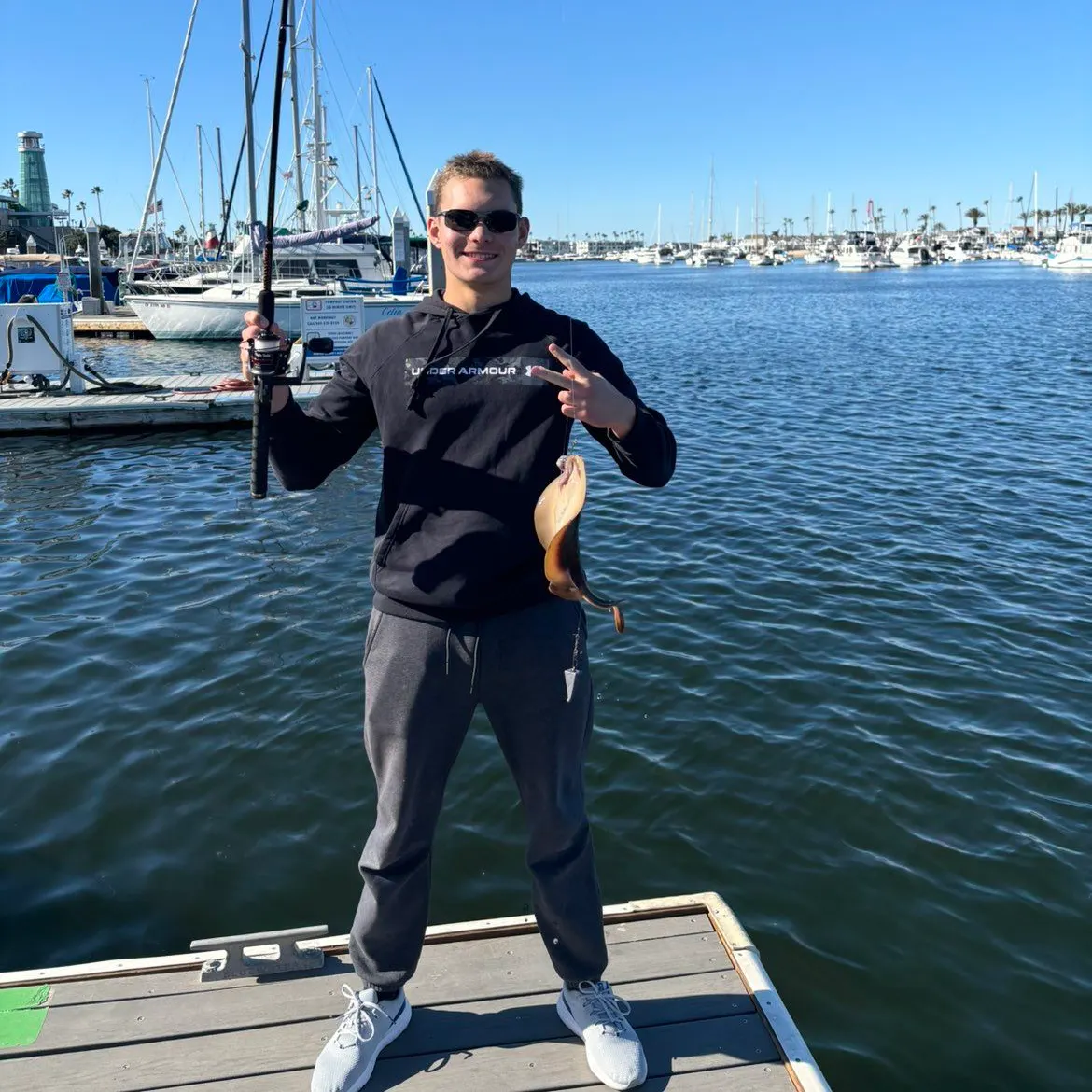 The most recent Haller's round ray catches on Fishbrain