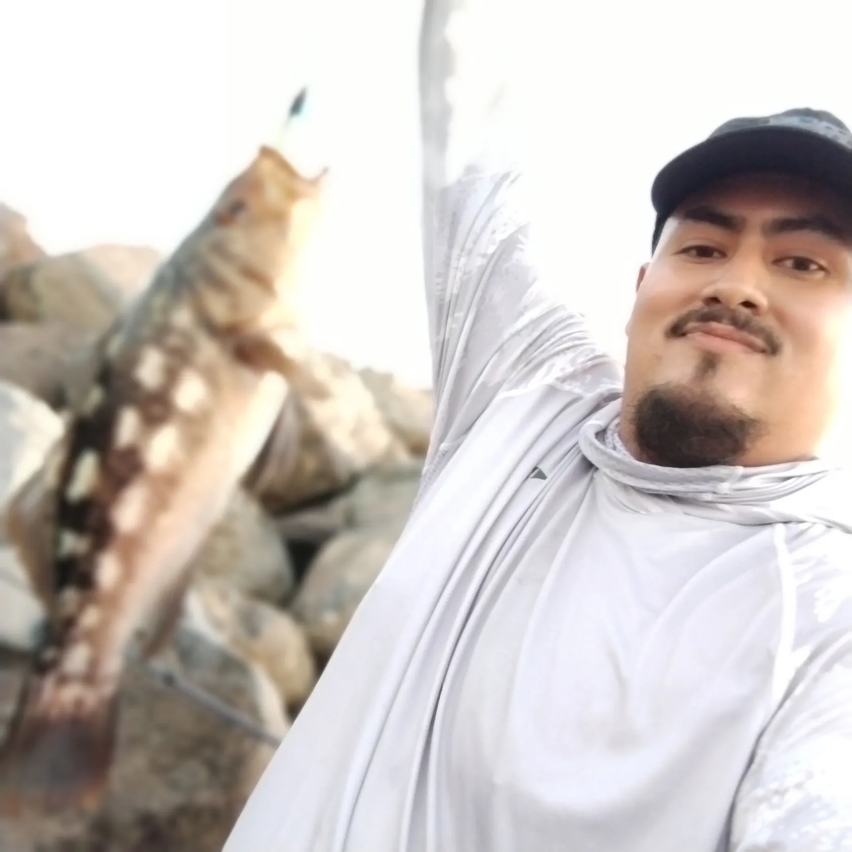Kelp bass caught on Fishbrain