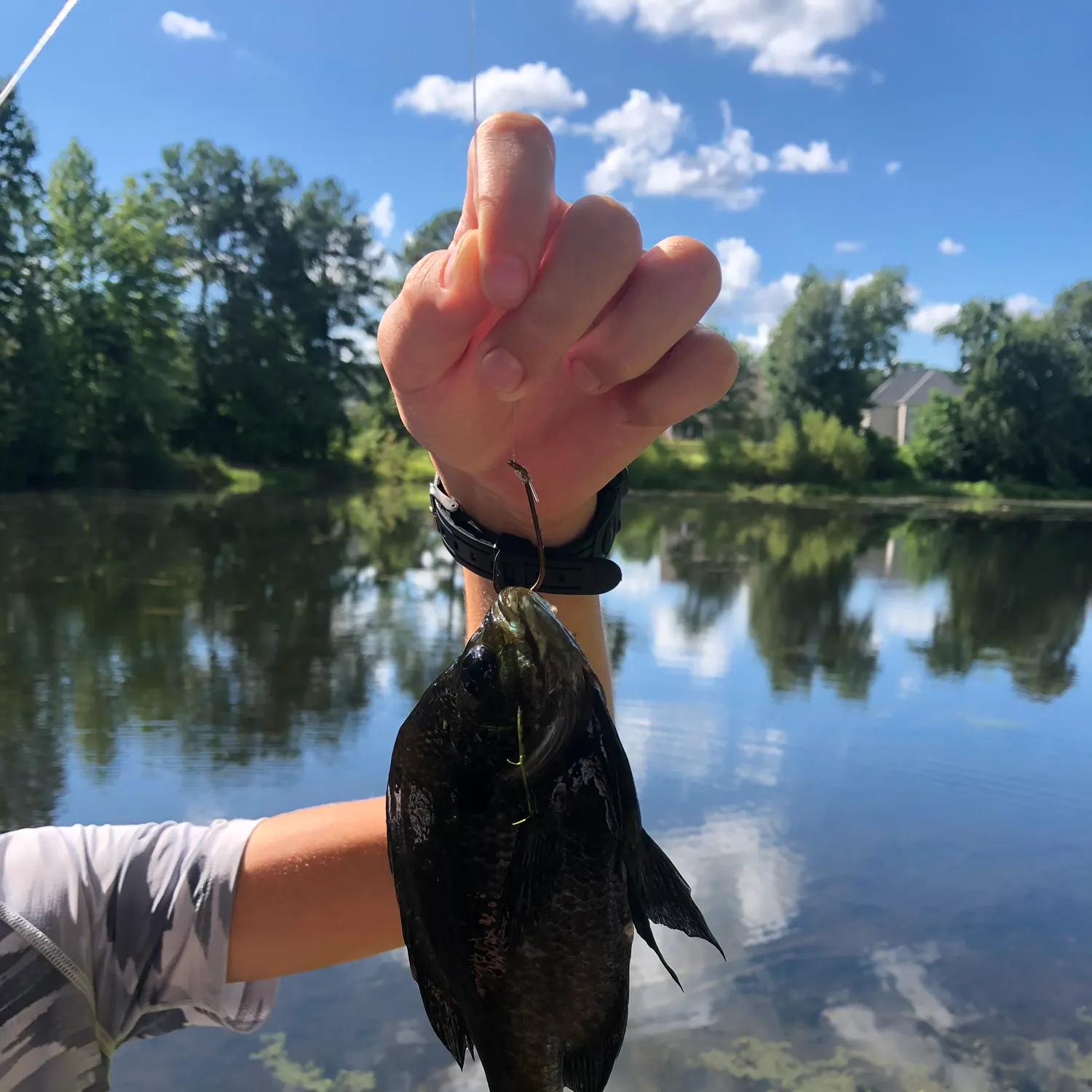 catch