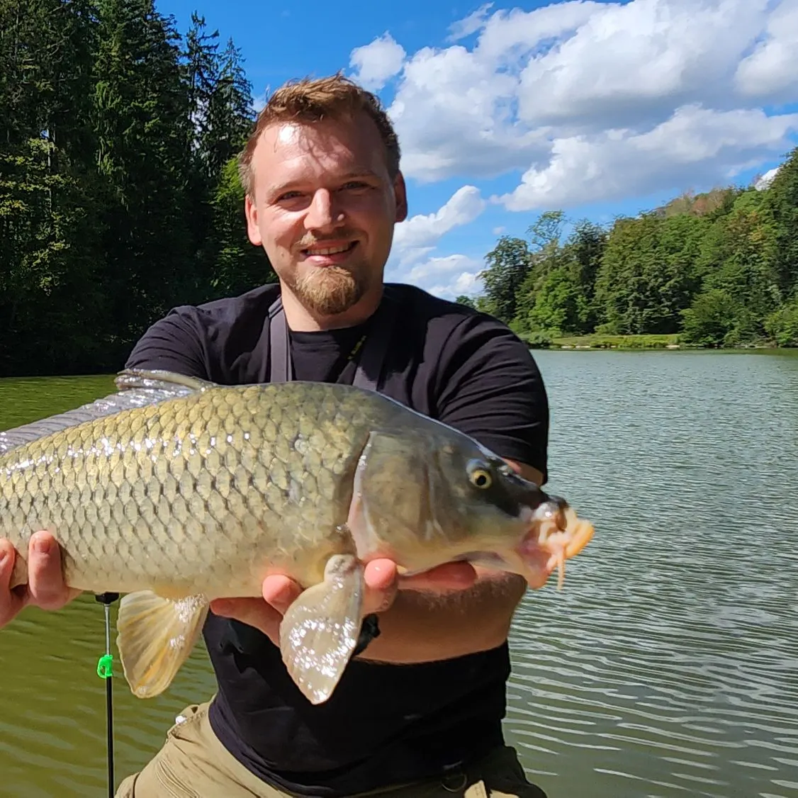 Common carp caught on Fishbrain