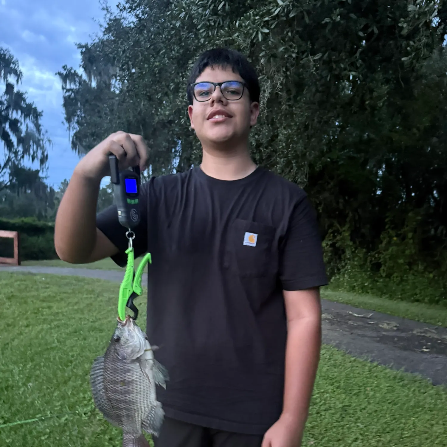 Nile tilapia caught on Fishbrain