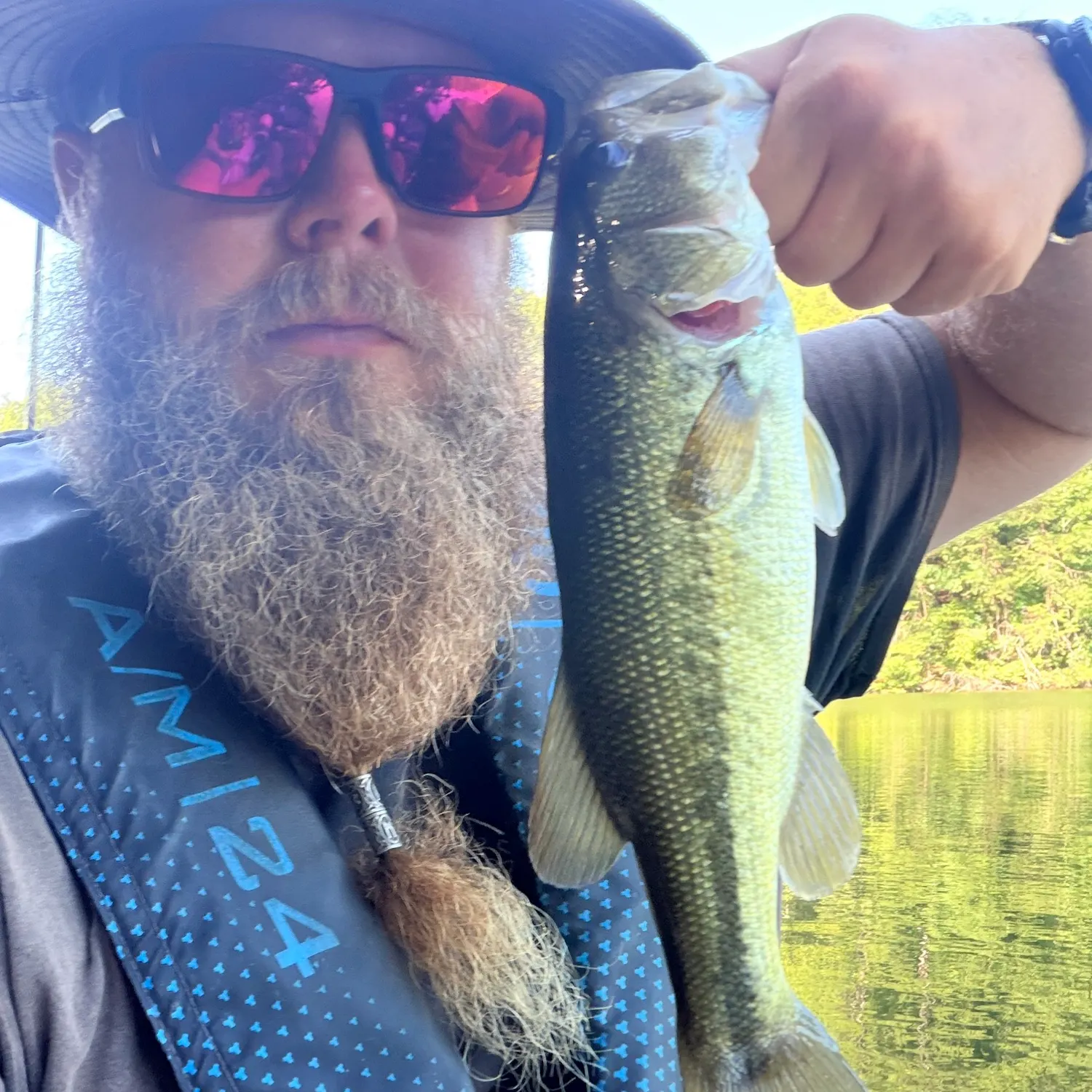 Largemouth bass caught on Fishbrain