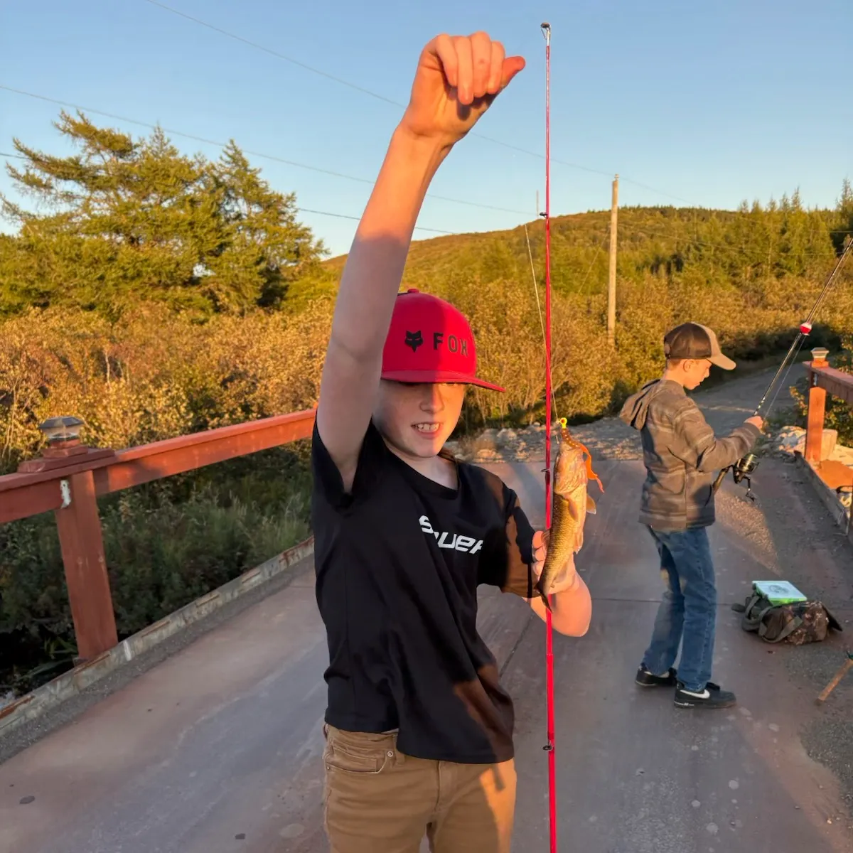 Hornyhead chub caught on Fishbrain