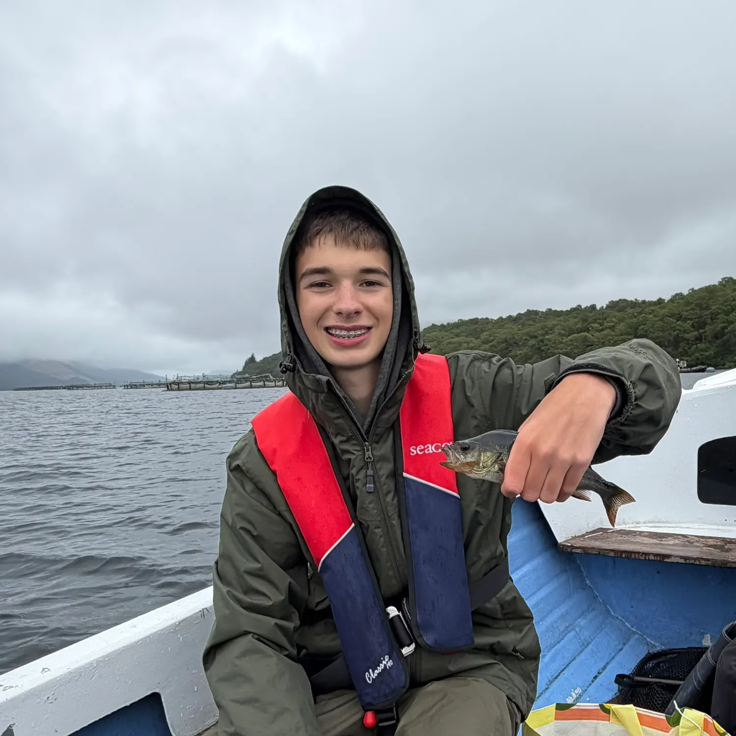 European perch caught on Fishbrain