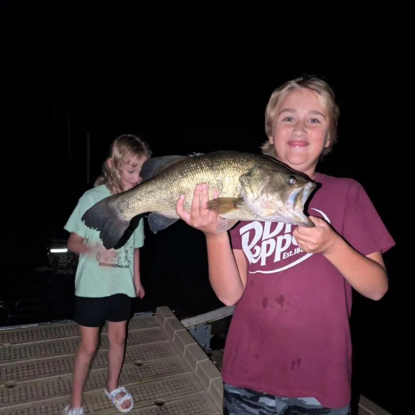 Largemouth bass caught on Fishbrain