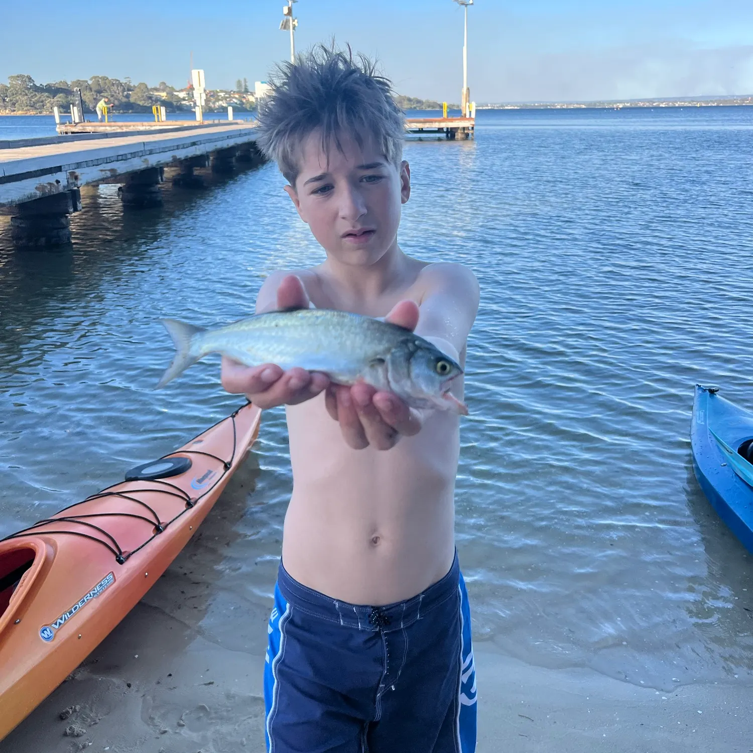 Bluefish caught on Fishbrain