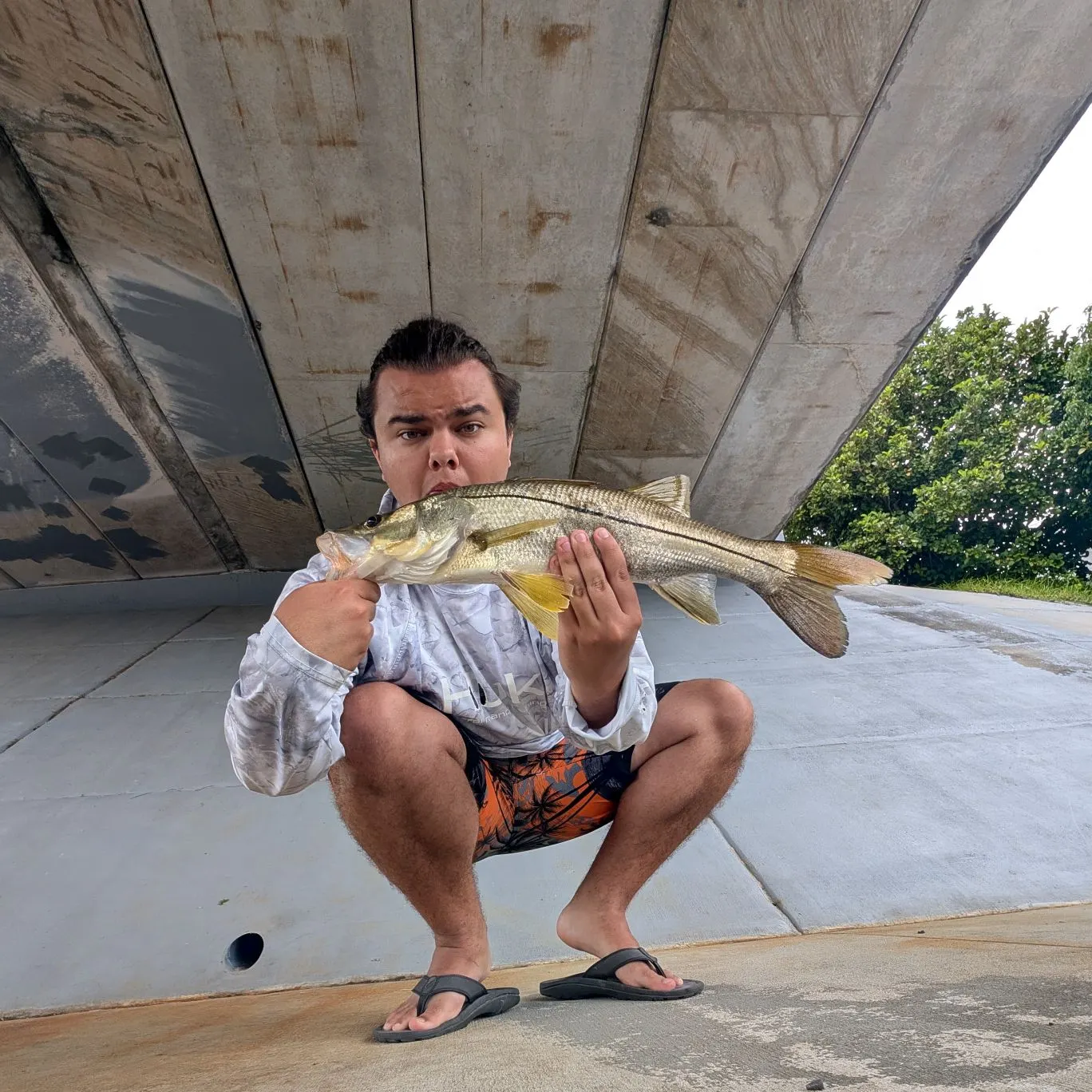 Common snook caught on Fishbrain