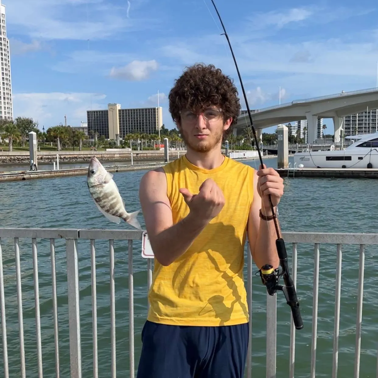 The most recent Spottail seabream catches on Fishbrain