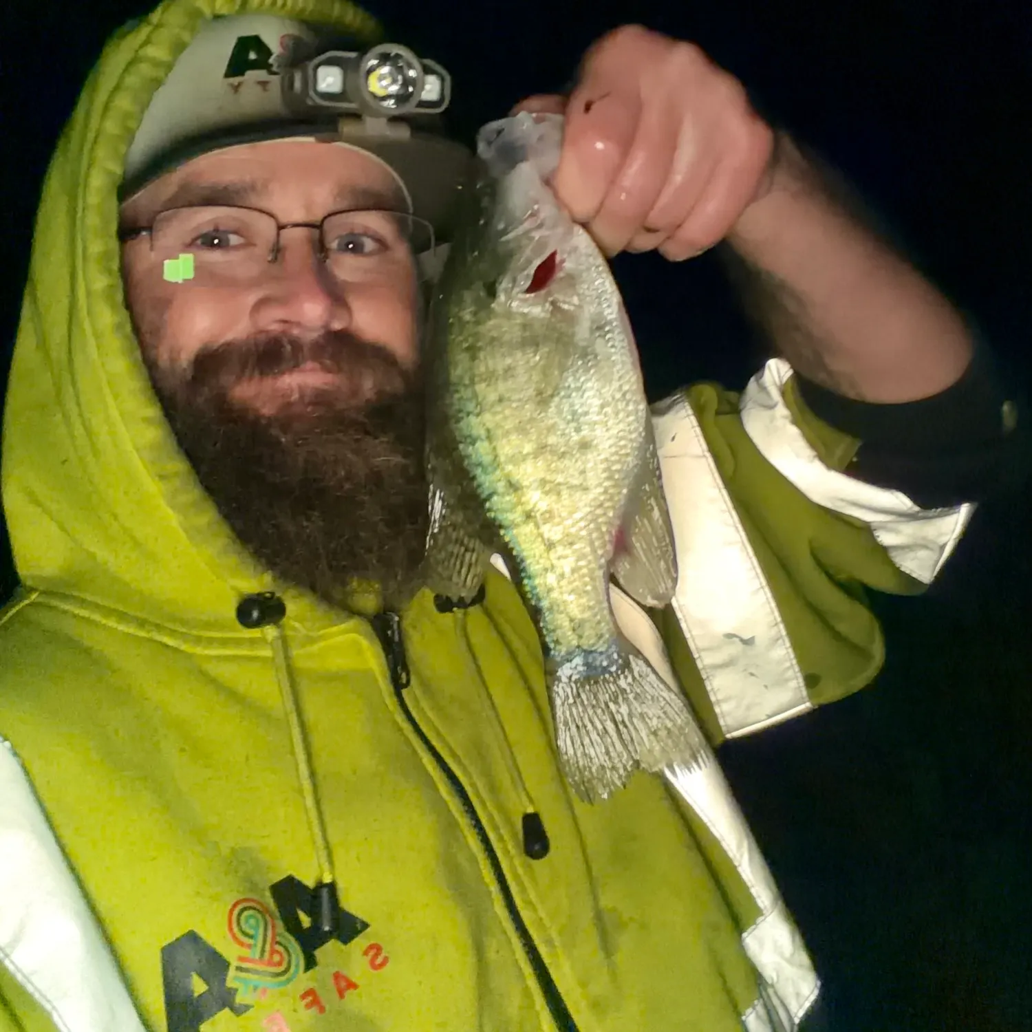 White crappie caught on Fishbrain