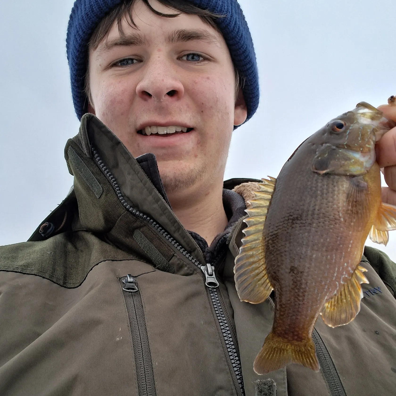 The most recent Green sunfish catches on Fishbrain