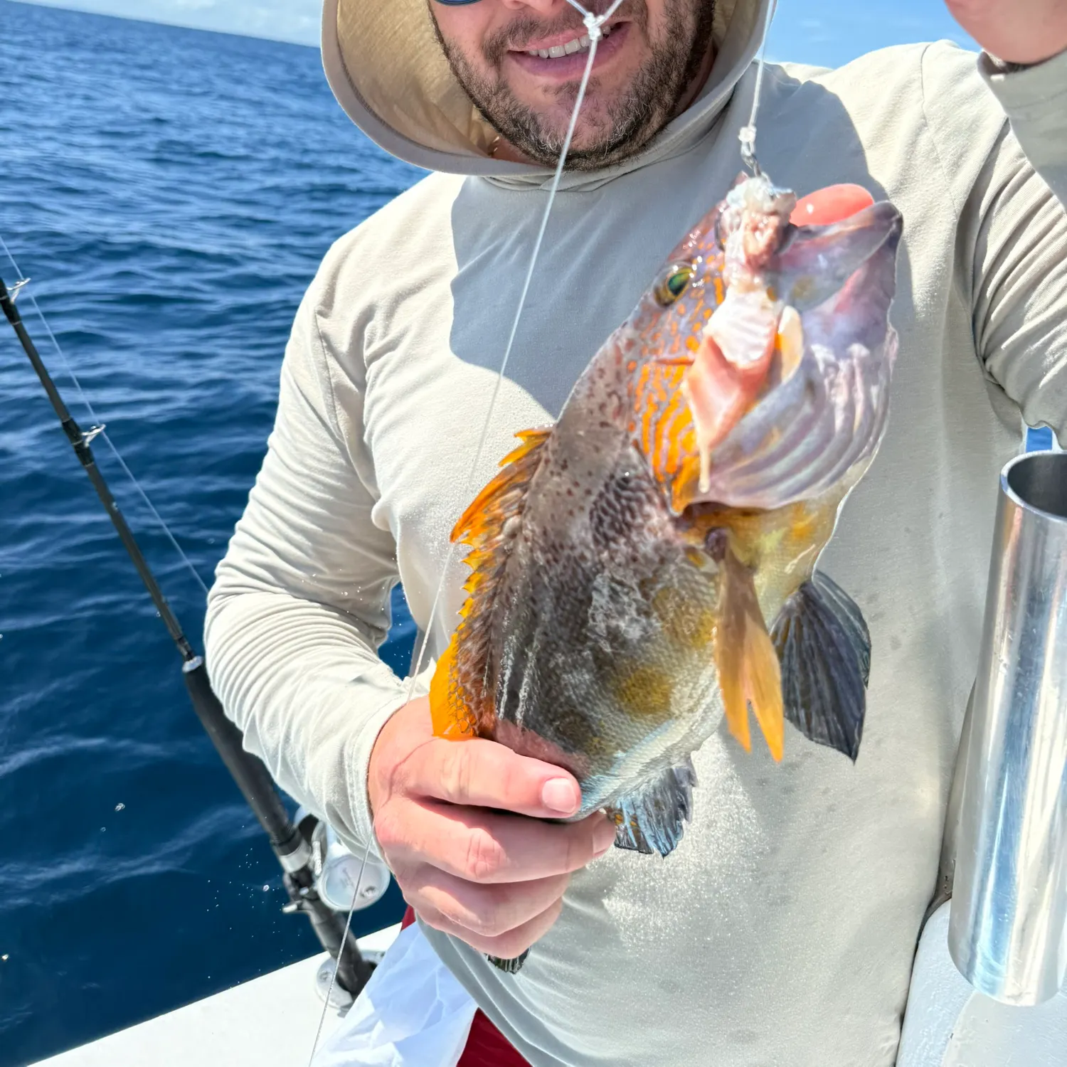 The most recent Yellowedge grouper catches on Fishbrain