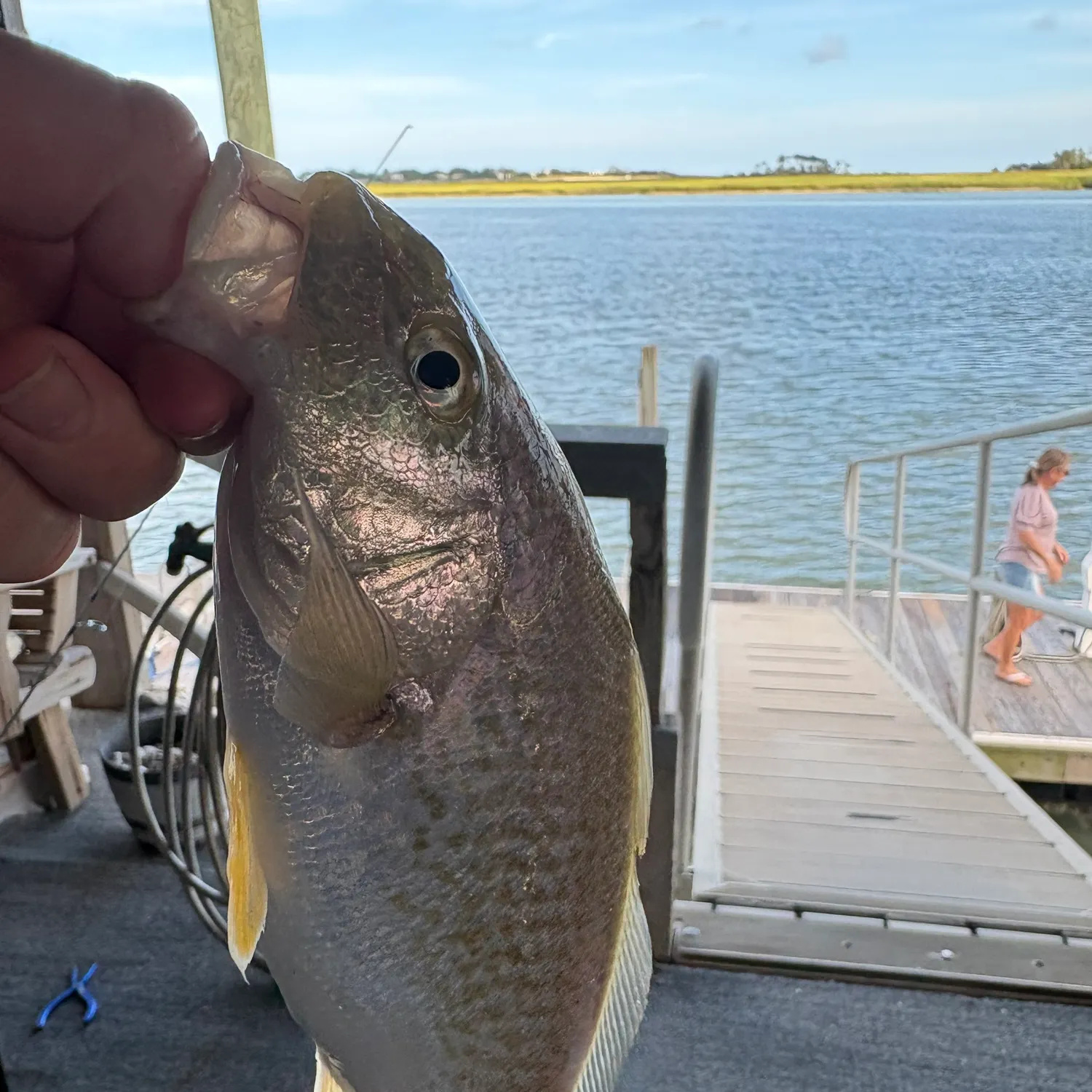 catch