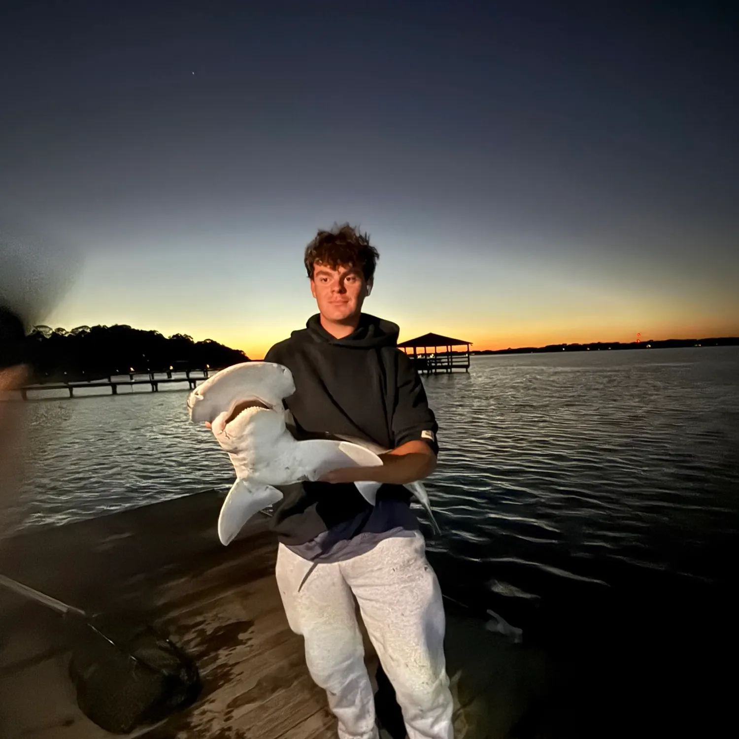 Bonnethead shark caught on Fishbrain
