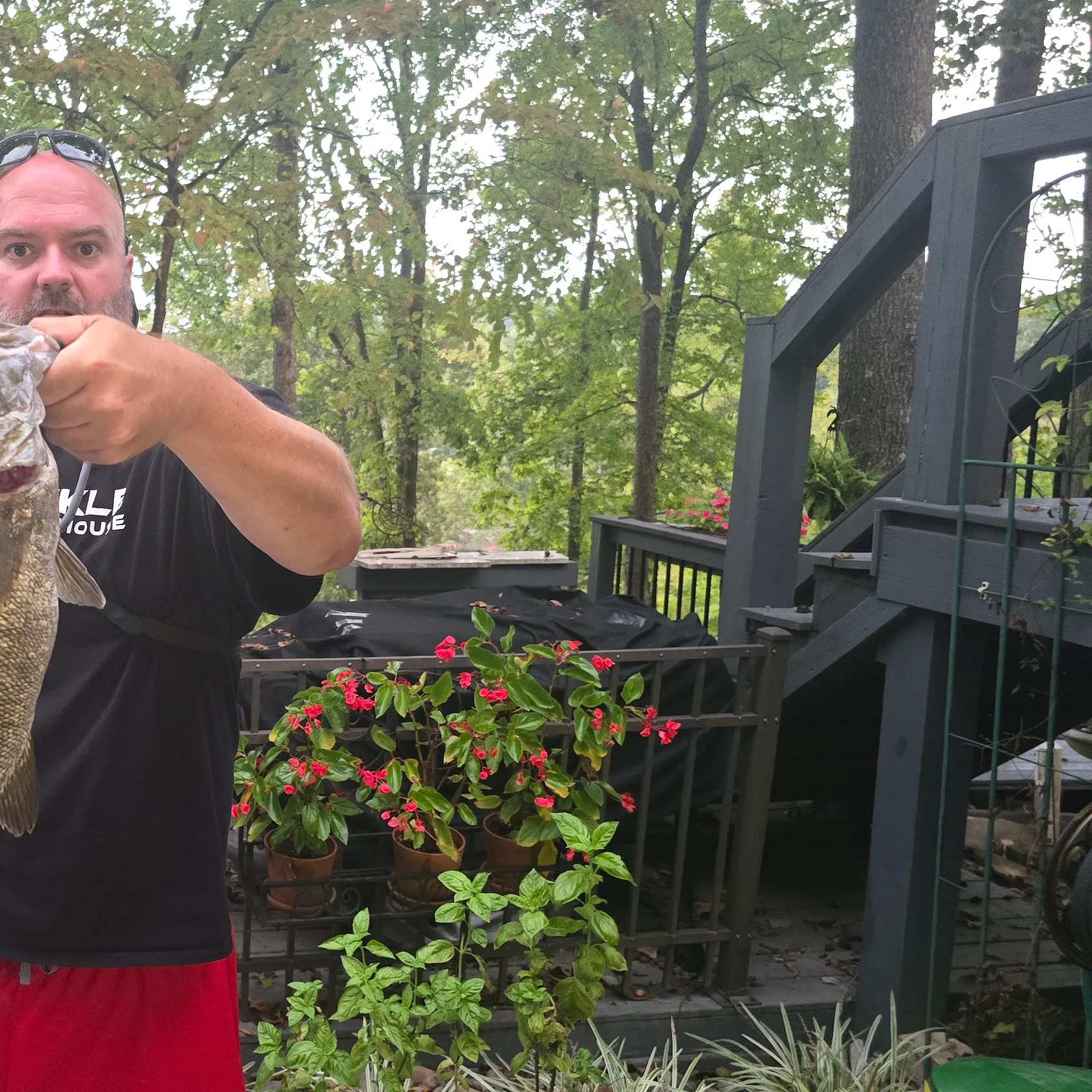 Smallmouth bass caught on Fishbrain