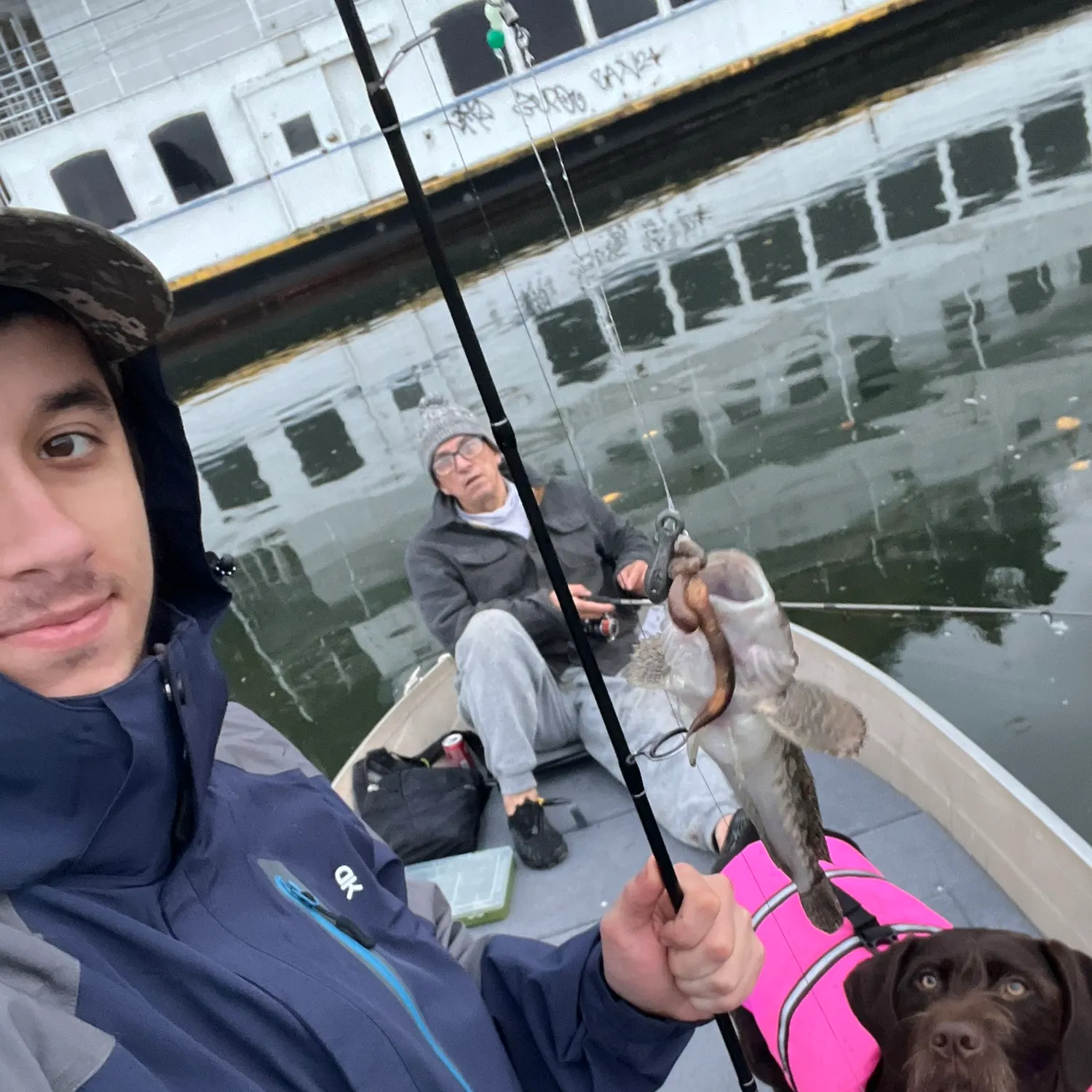 The most recent Mottled sculpin catches on Fishbrain