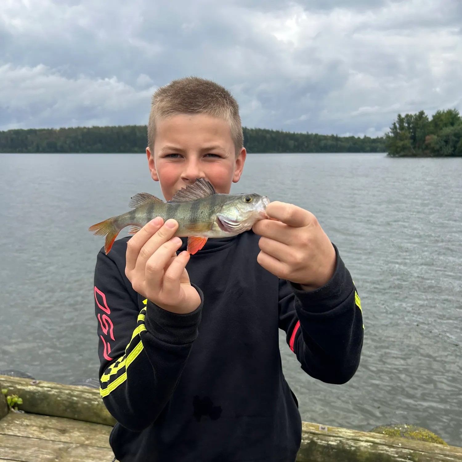 European perch caught on Fishbrain