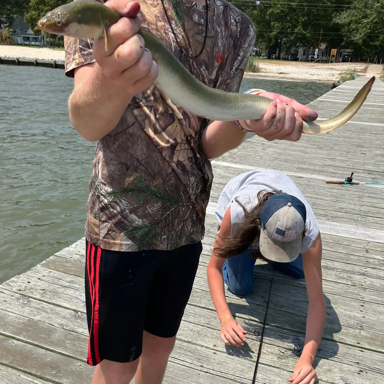 The most recent American eel catches on Fishbrain