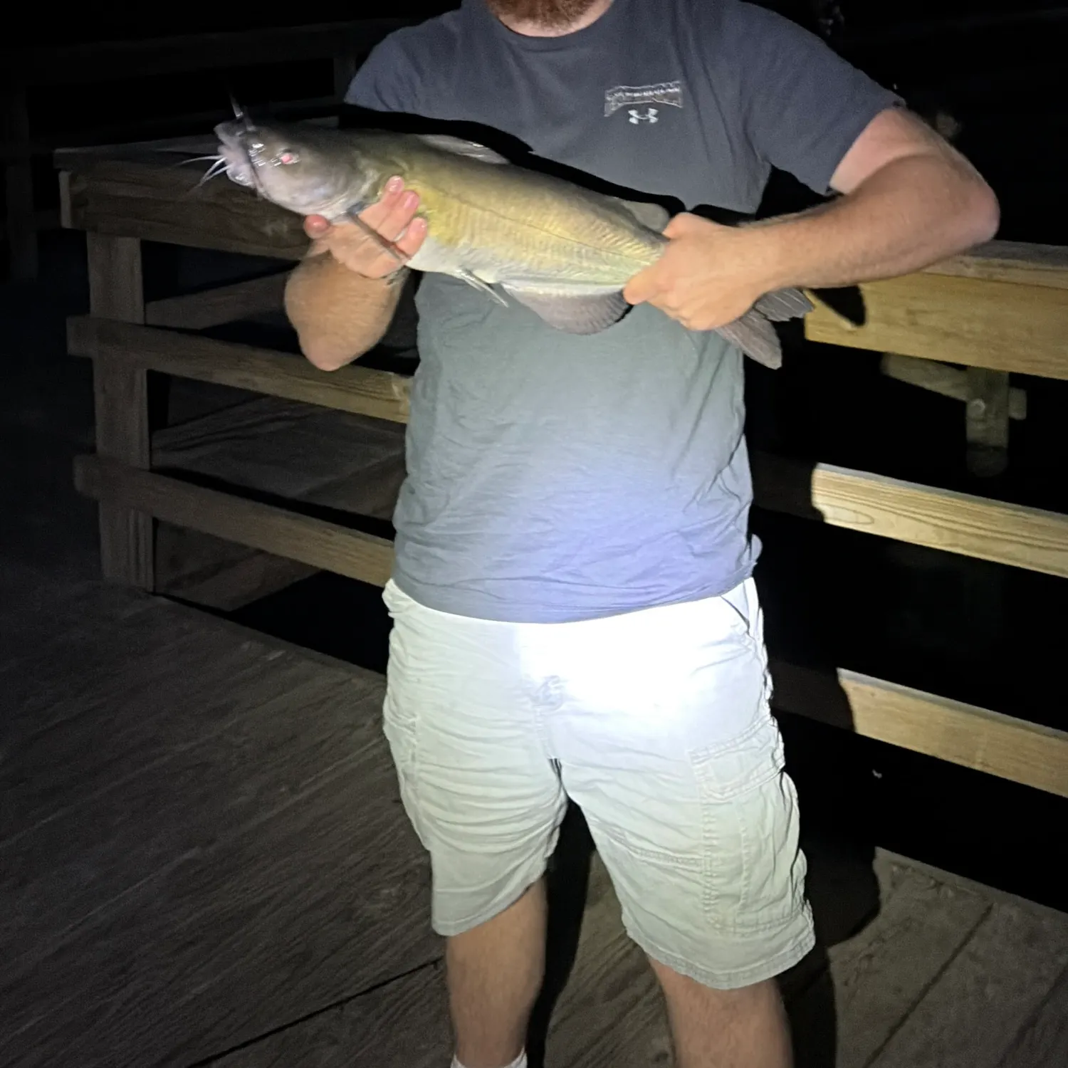 Channel catfish caught on Fishbrain