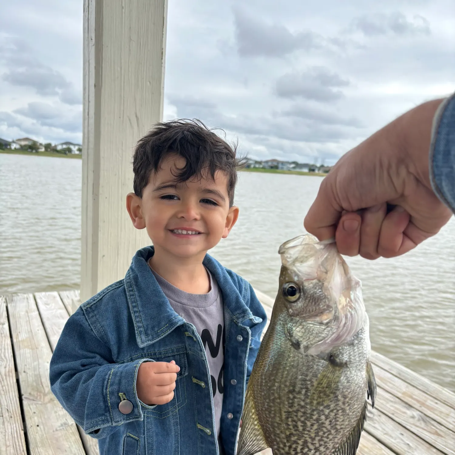The most recent Black crappie catches on Fishbrain