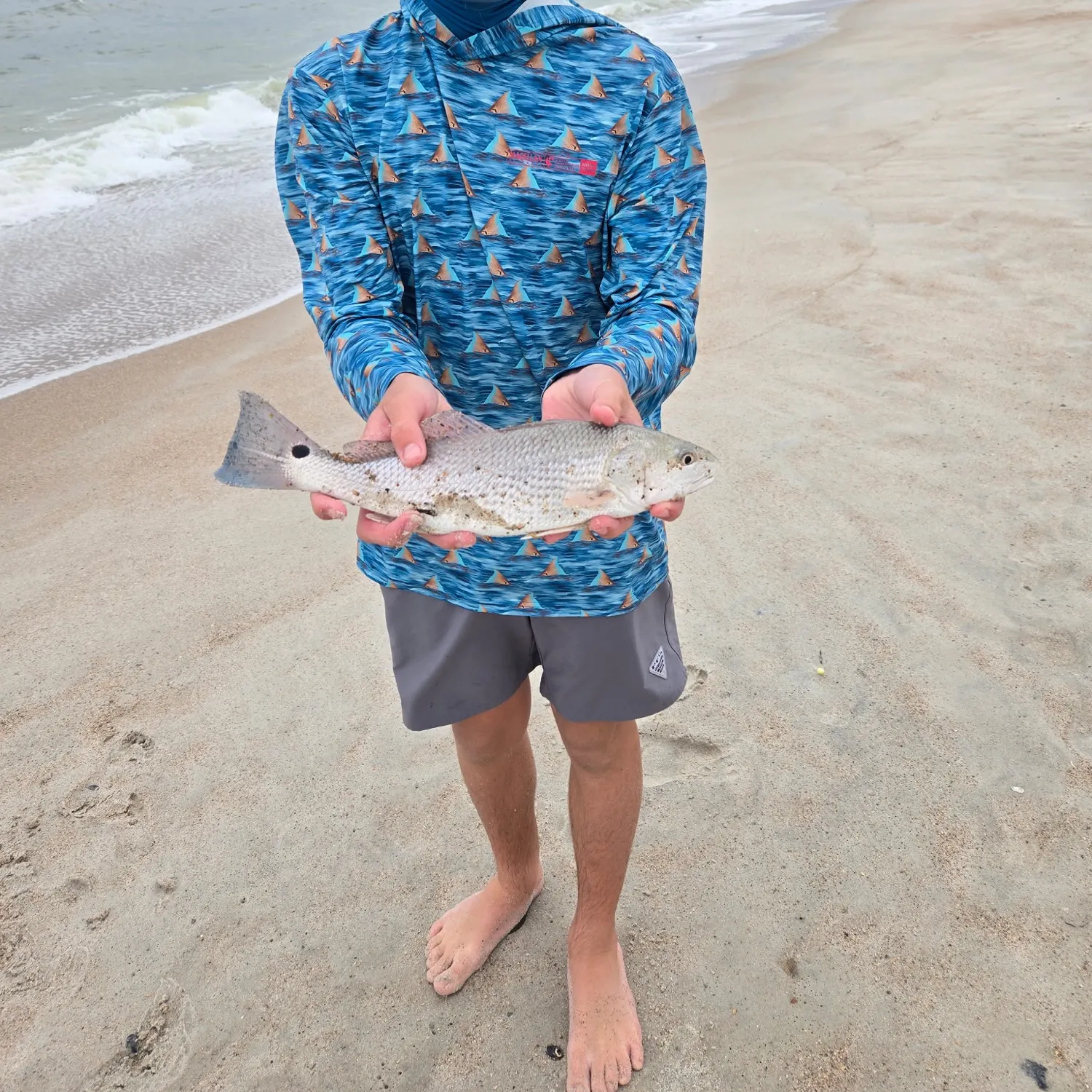 Red drum caught on Fishbrain