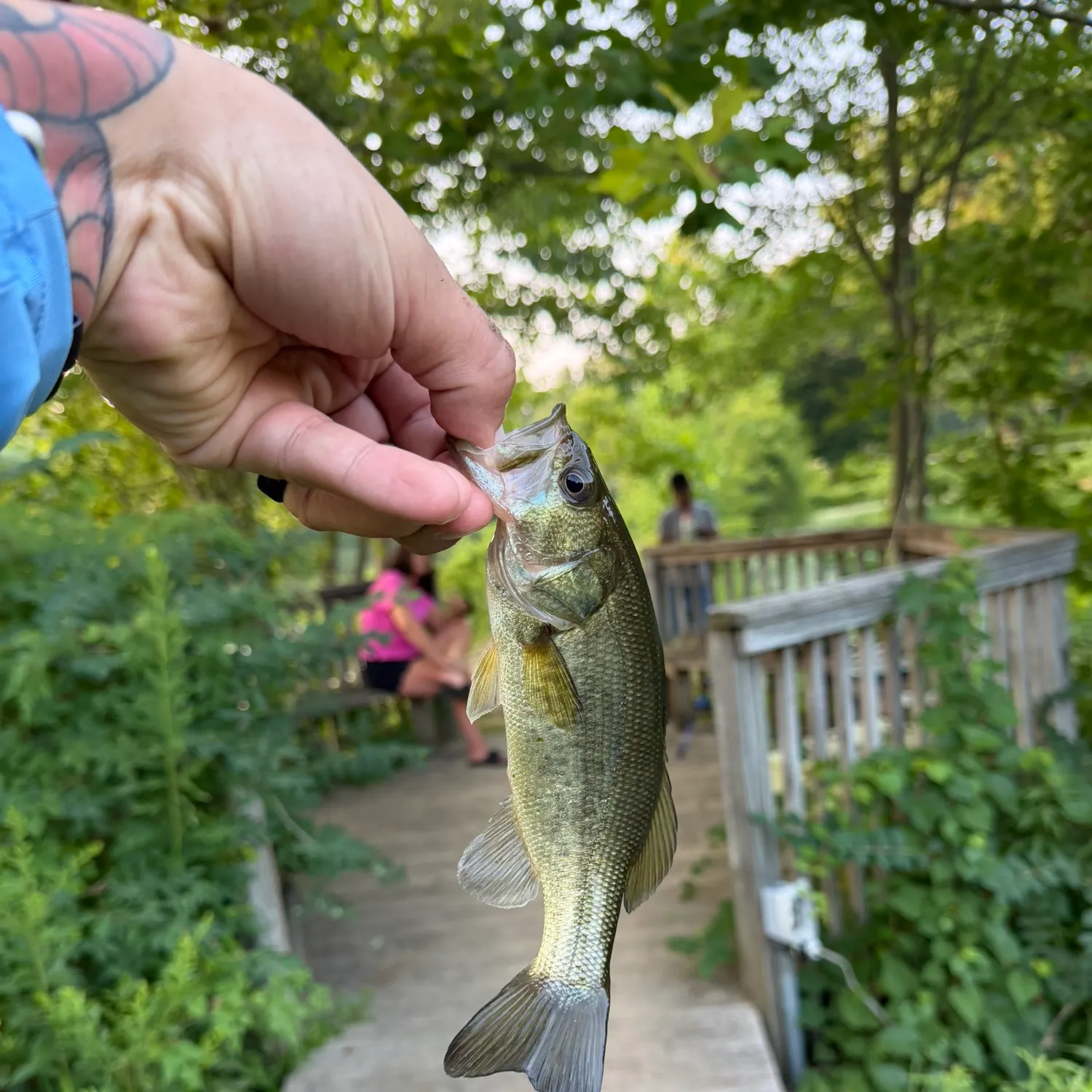catch