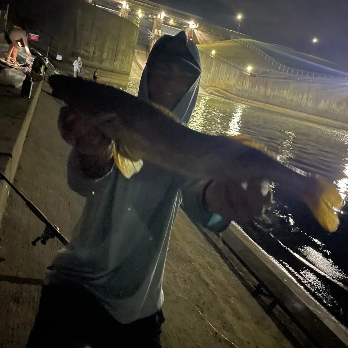 Walleye caught on Fishbrain