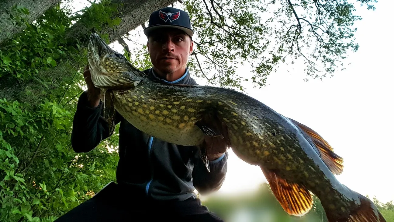 Post image from JPsson